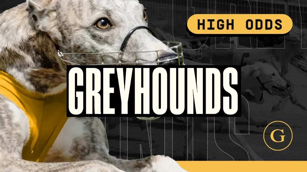 Dog 6 High Odds main thumbnail