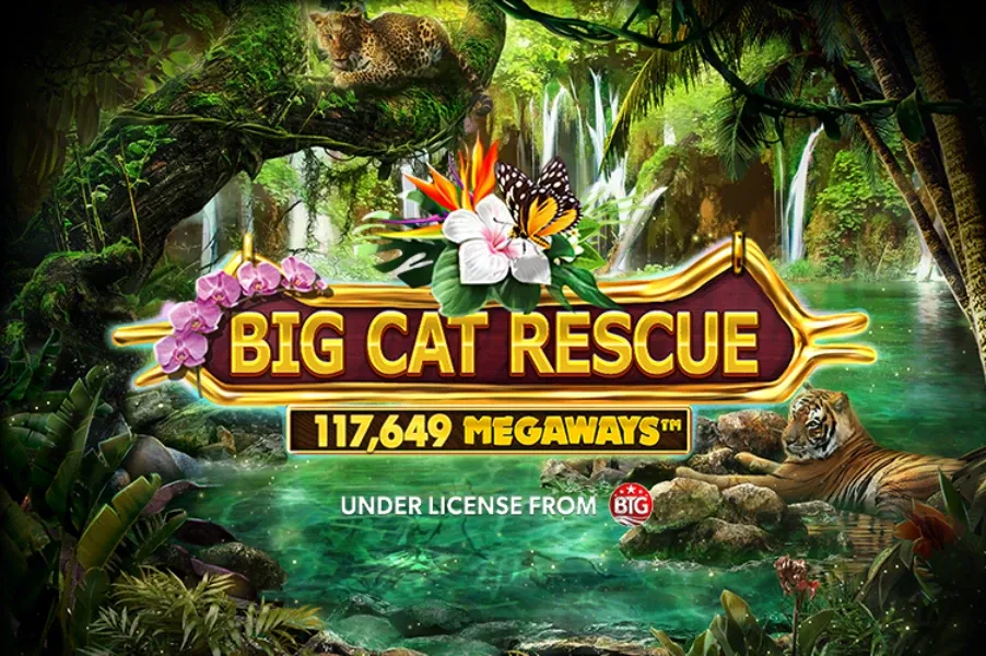 Big Cat Rescue MegaWays main thumbnail
