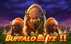 Buffalo Blitz 2