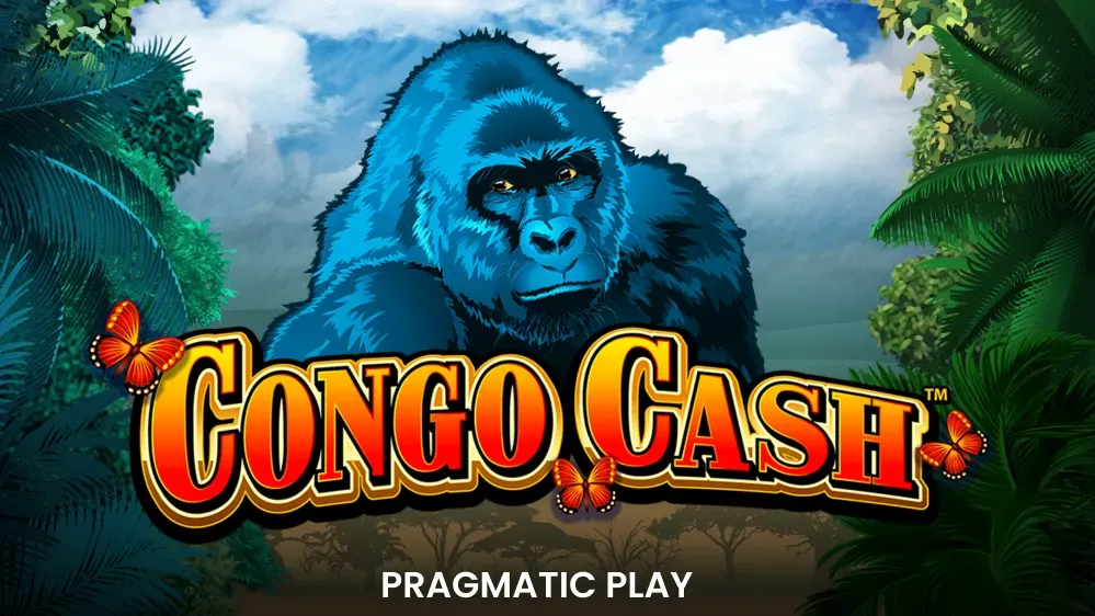Congo Cash XL