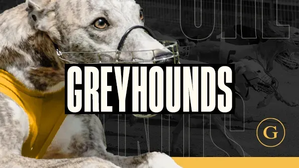 Dog 6 main thumbnail