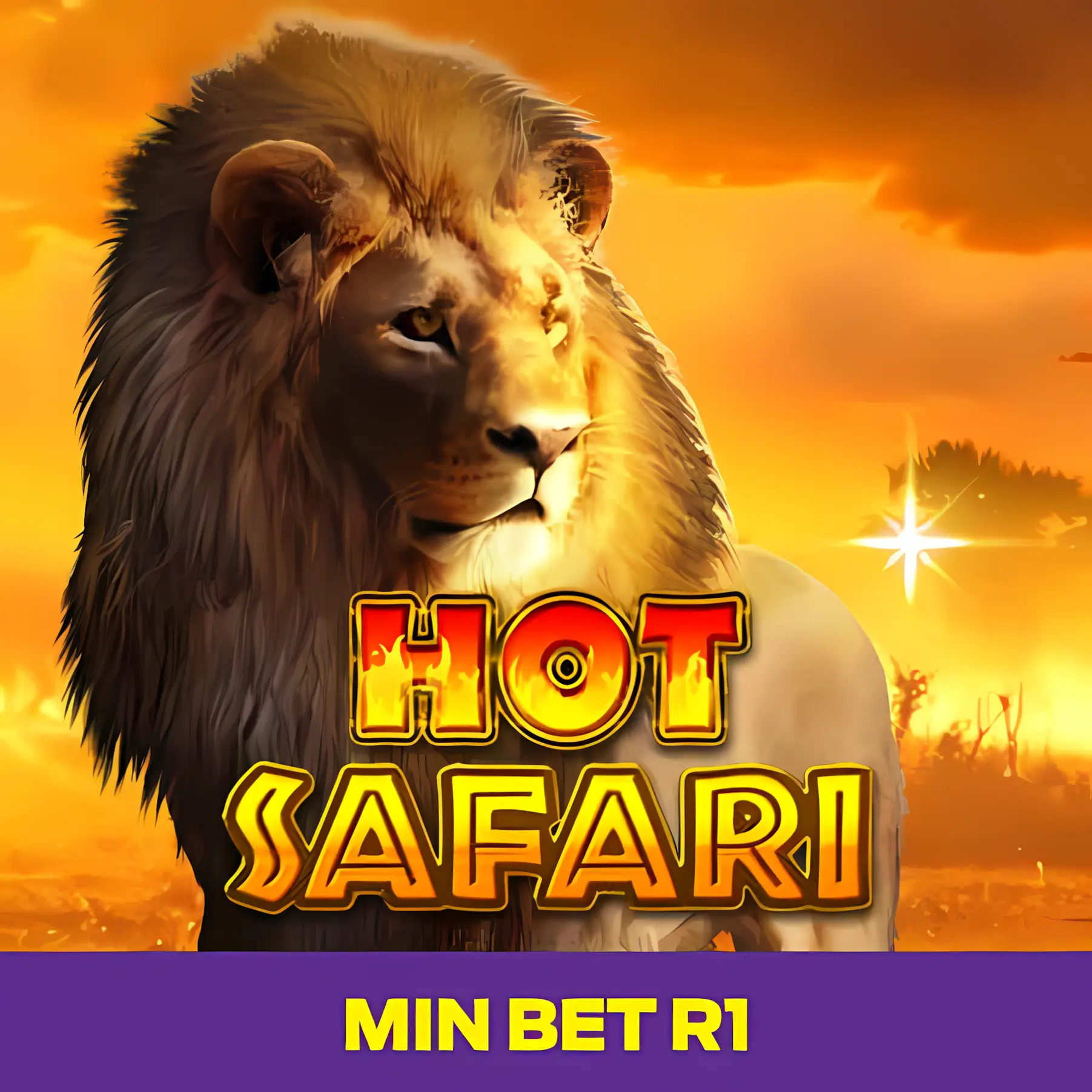 Hot Safari 50,000