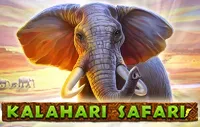 Kalahari Safari