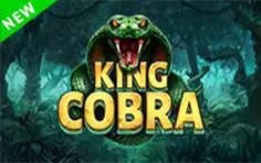 King Cobra