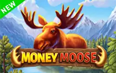 Money Moose