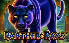 Panther Pays