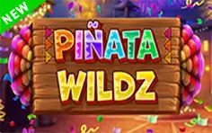 Pinata Wildz