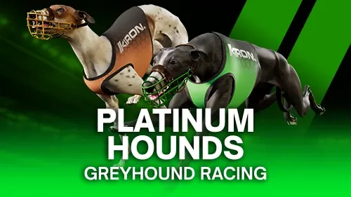 Platinum Hounds main thumbnail