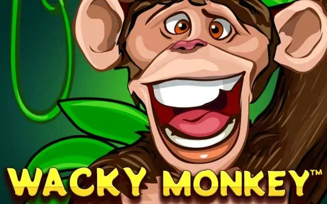 Wacky Monkey