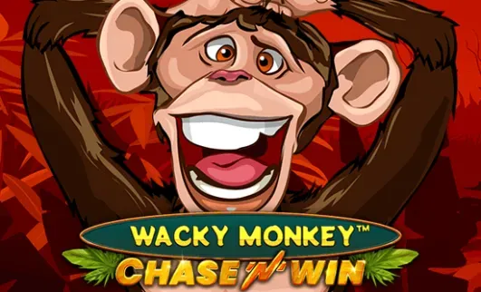 Wacky Monkey - Chase and Win