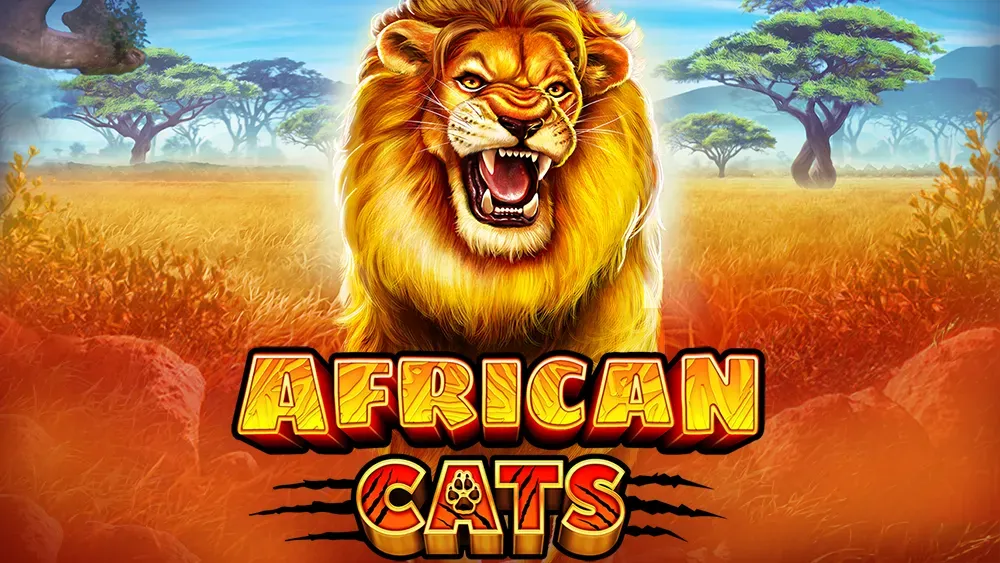 African Cats main thumbnail