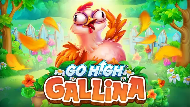 Go High Gallina main thumbnail