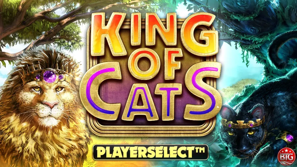 King of Cats main thumbnail