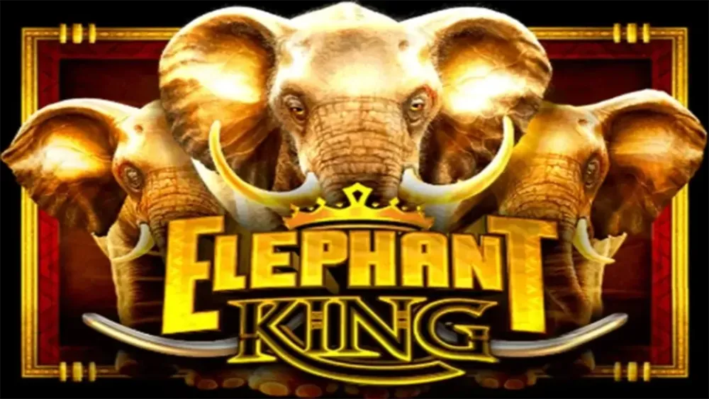 Elephant King main thumbnail
