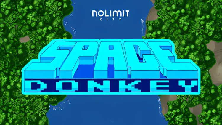 Space Donkey