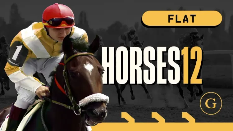 Horses 12 Flat
