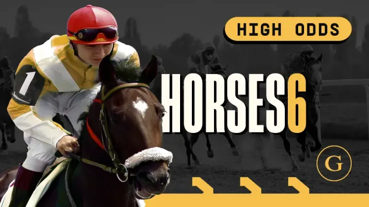 Horses 6 High Odds