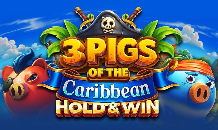 3 Pigs Of Caribbean