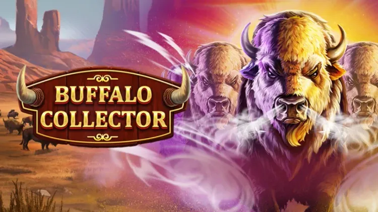 Buffalo Collector 