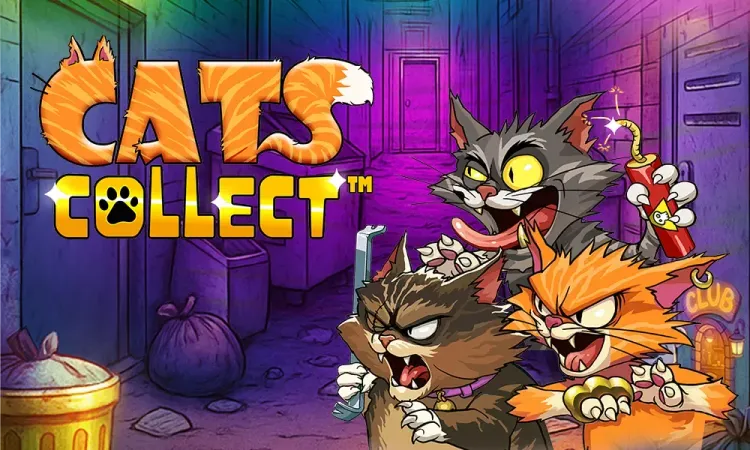 Cats Collect
