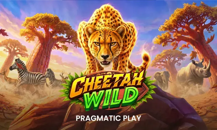 Cheetah Wild