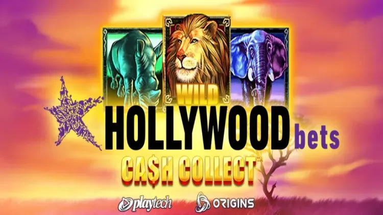 Hollywoodbets Cash Collect