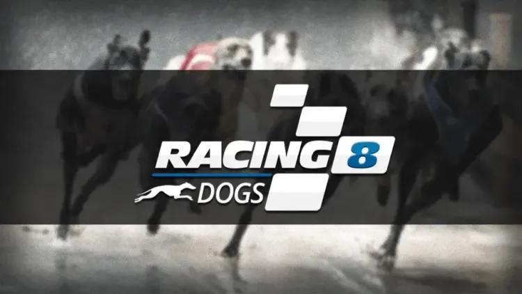 Racing 8 Dogs