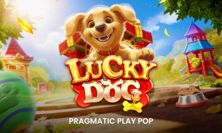 Lucky Dog