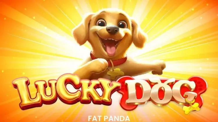 Lucky Dog
