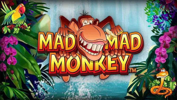 Mad Mad Monkey