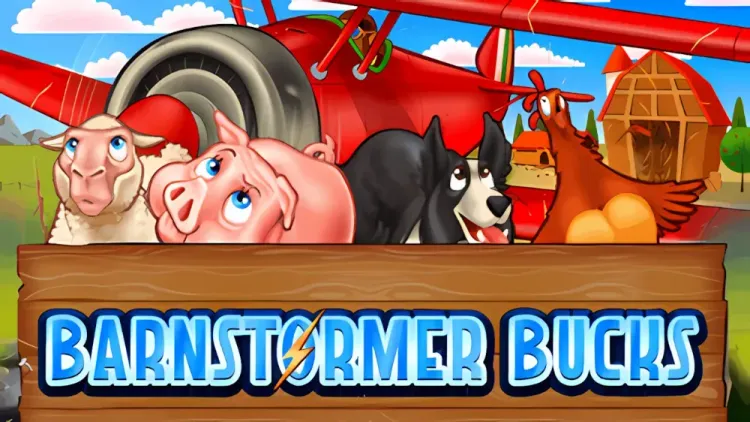 Barnstormer Bucks