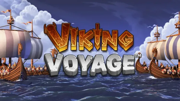 Viking Voyage