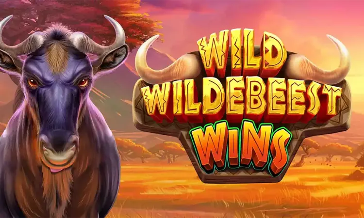 Wild Wildebeest Wins