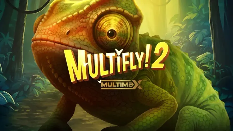 MultiFly! 2 MultiMax