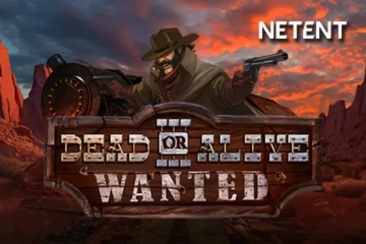 Dead or Alive 3 Wanted