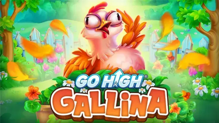 Go High Gallina