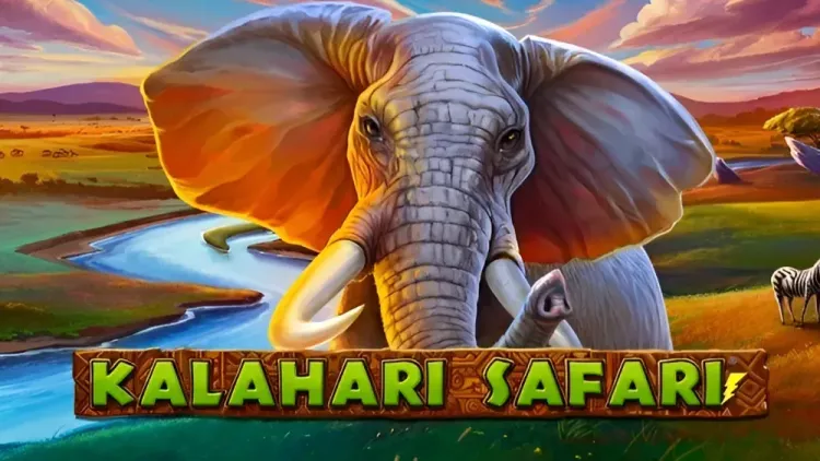 Kalahari Safari