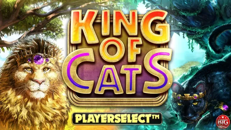 King of Cats