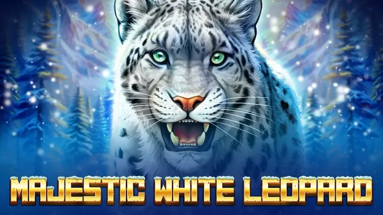 Majestic White Leopard