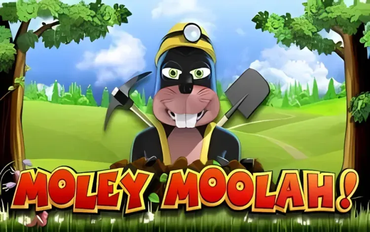 Moley Moolah Going Underground