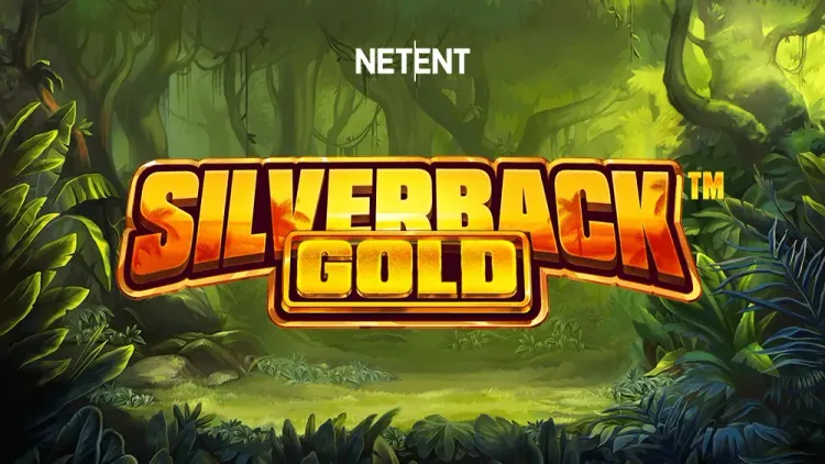 Silverback Gold 