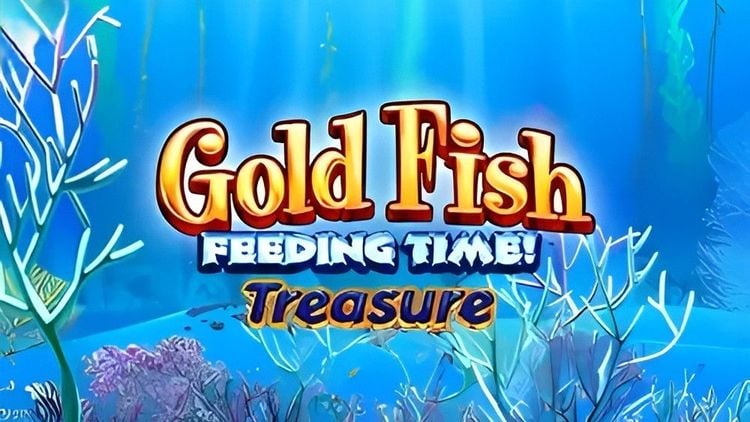 Goldfish Feeding Time