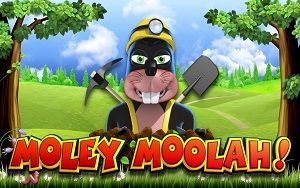 Moley Moolah Going Underground