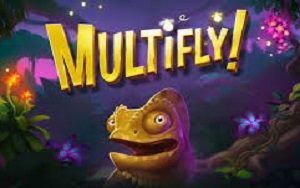 Multifly! MultiMax™