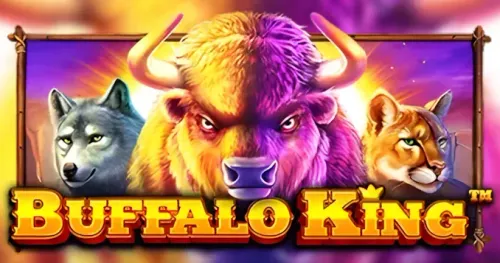 Buffalo King