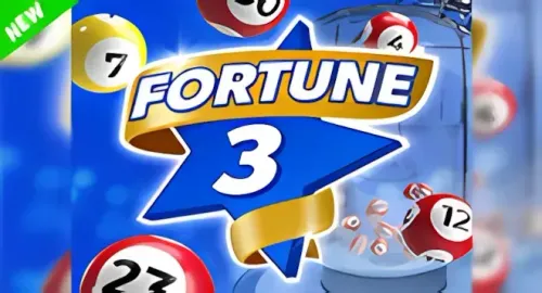 Fortune 3