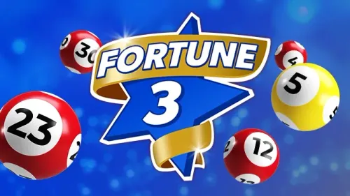 Fortune 3