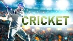Cricket