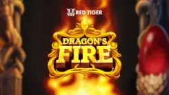 Dragon's Fire