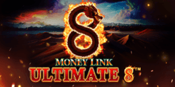 Money Link Ultimate 8